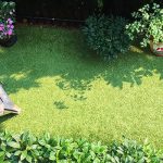 Will Chemicals Harm my Artificial Grass?