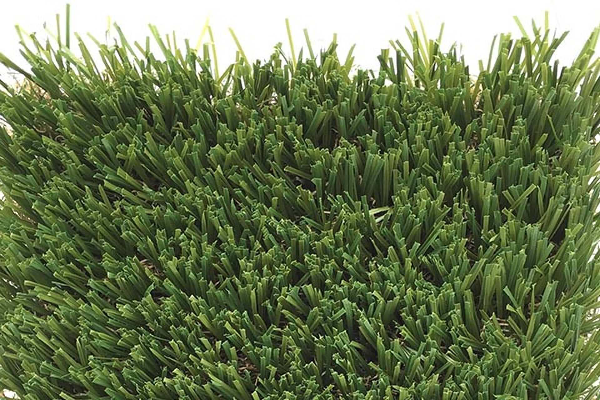 Designed with Bella Turf’s ultra Soft S-blade technology, Coastal Pro offers one of the softest artificial grass products available. If play is on your mind, Coastal Pro is for you!