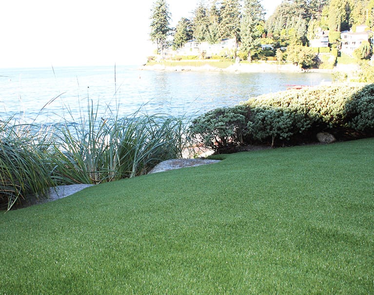 backyard artificial grass lawn beside lake