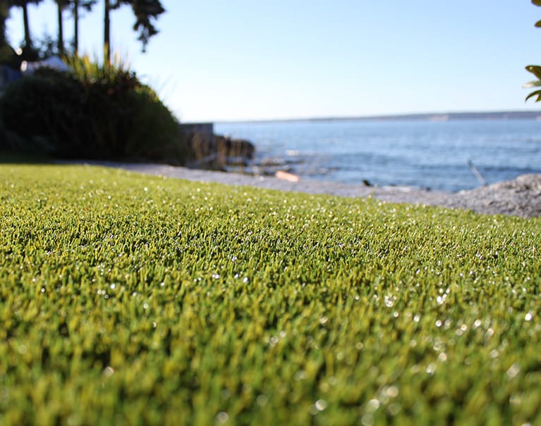 close up shot of artificial grass in backyard near water