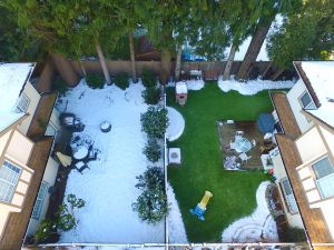 artificial grass compared to natural grass with snowfall in canadian winter