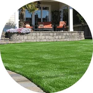 artificial grass used for residential landscaping in front lawn