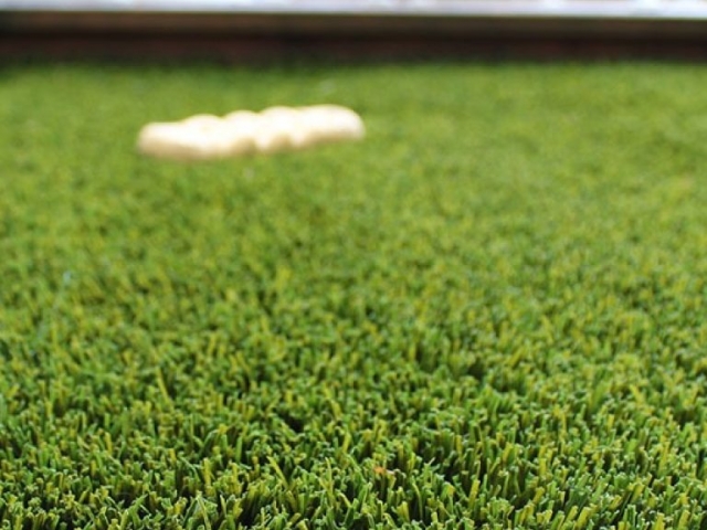 bella-turf-pet-friendly-artificial-turf-grass-fake-plastic-grass-from-bella-turf-canada-new-grass-products-2019_0000_toy
