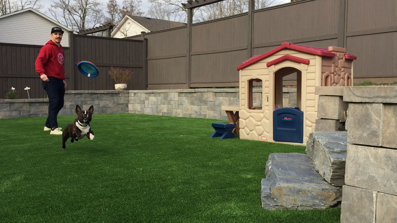 Artificial grass with dog house