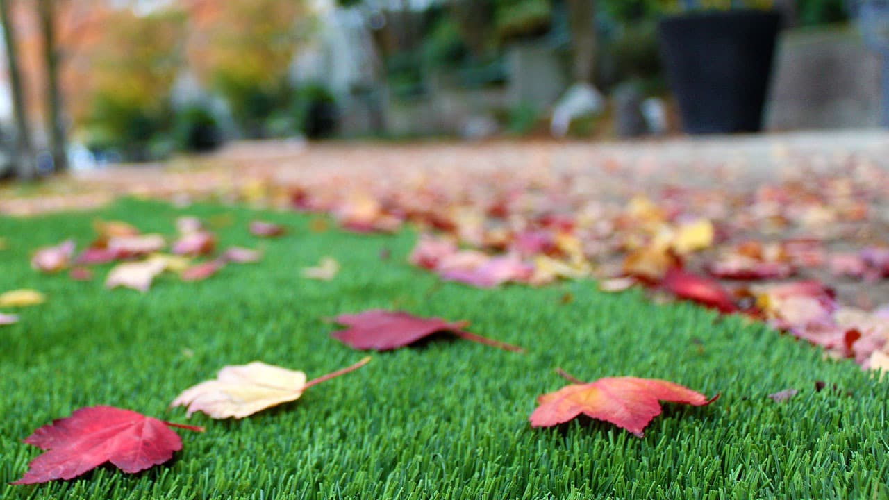 landscapes-bella-turf-new-artificial-grass-for-canada-photos-2019-_0011_fall-focus