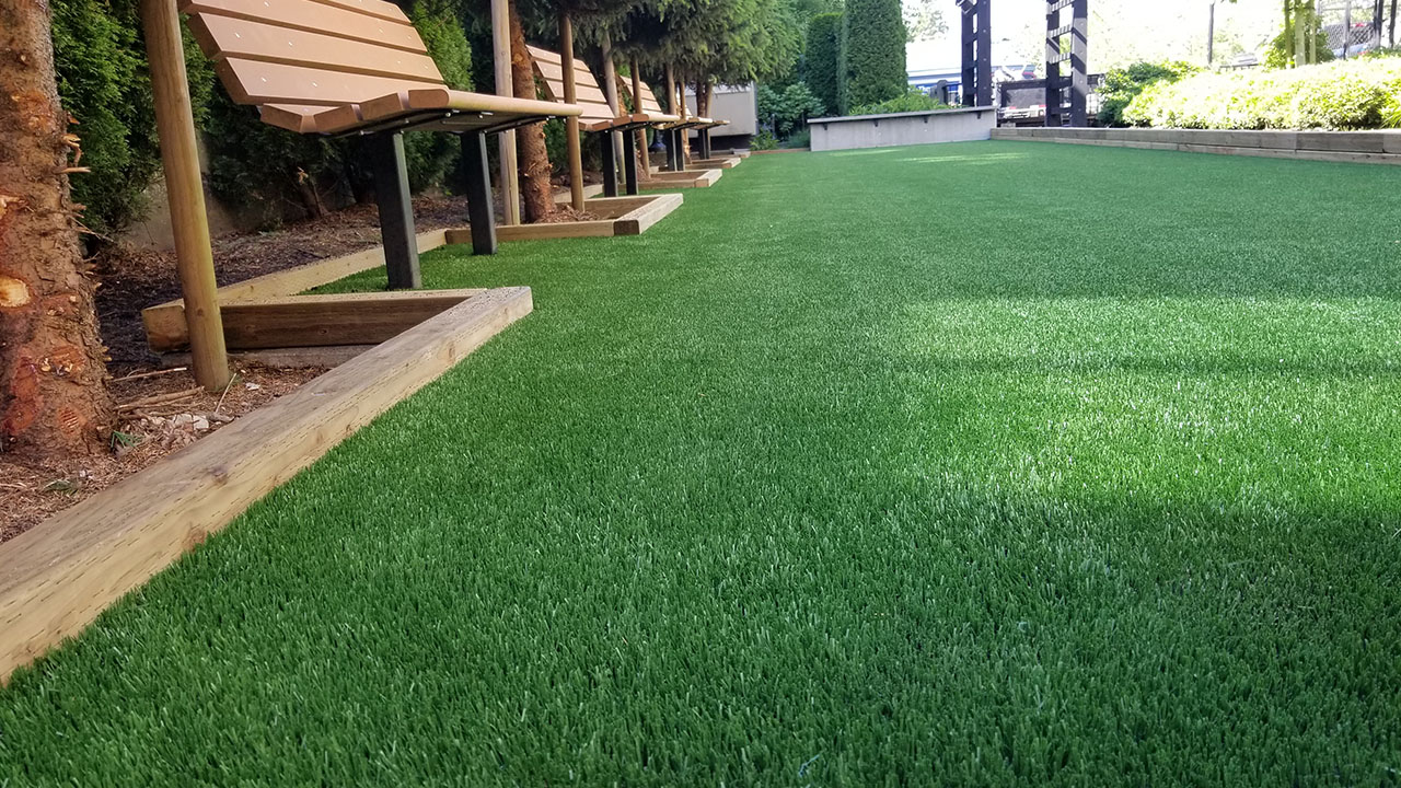 landscapes-bella-turf-new-artificial-grass-for-canada-photos-2019-_0014_20170629_162507