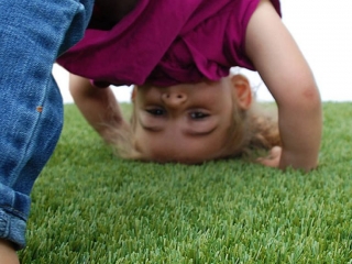 playground-grass-artificial-turf-for-kids-and-pets-bella-turf-grass-_0004_mabel-downdog