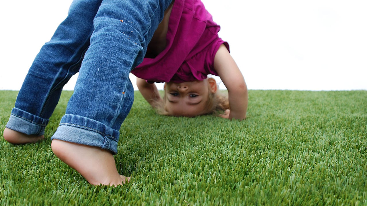 playground-grass-artificial-turf-for-kids-and-pets-bella-turf-grass-_0004_mabel-downdog