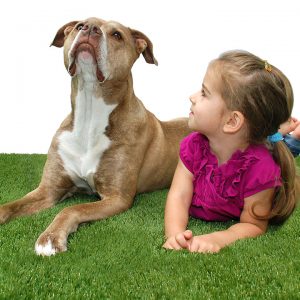 Girl playing with dog on the artificial grass