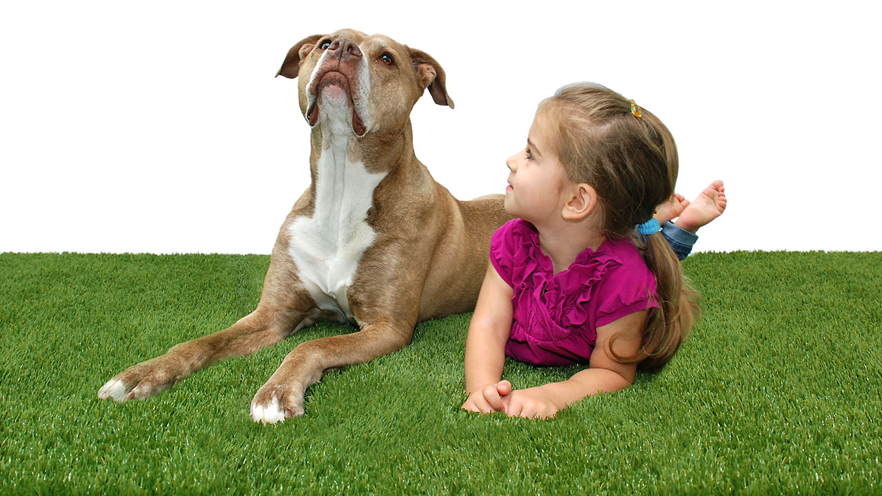 playground-grass-artificial-turf-for-kids-and-pets-bella-turf-grass-_0005_mabel-coco