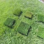 Considering installing Artificial Grass, but having trouble choosing which product?