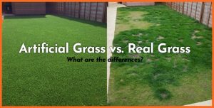 artificial grass versus real grass