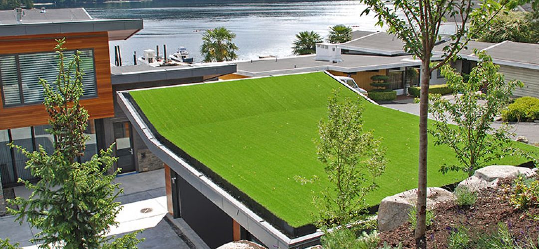 Astroturf for roof top