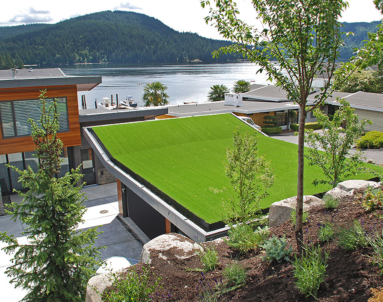 Astroturf for roof top