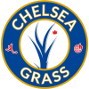 Chelsea Grass (Soccer) logo