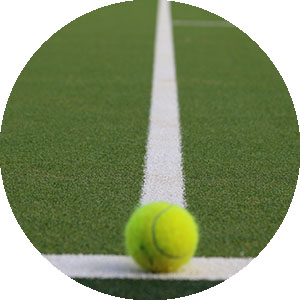 Custom Order Artificial Grass for Sports Systems