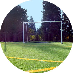 Artificial Grass for Sports Systems